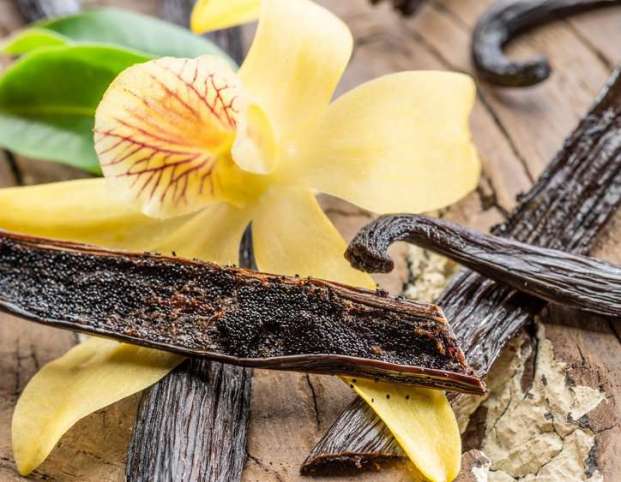 Dried vanilla fruits and vanilla orchid on wooden table adhering to ISO 5565.