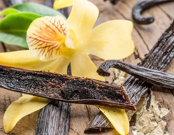 Dried vanilla fruits and vanilla orchid on wooden table adhering to ISO 5565.