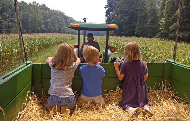 Three young children riding in a tractor filled with hay during the autumn season, and this hayride adheres to ASTM F3168-23.