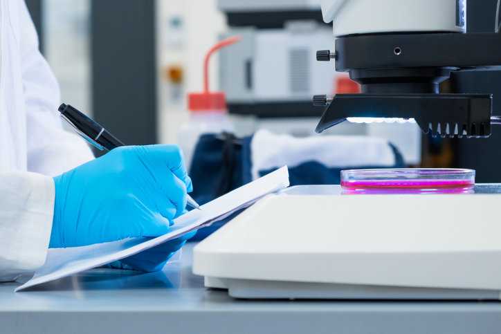 Close up scientist in rubber gloves making notes of the microbiological experiment assuring adherence to ISO 17034 requirements.