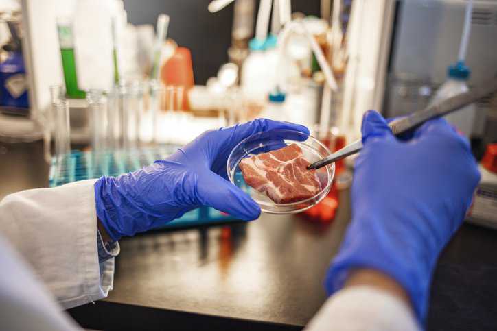 Food quality control expert inspecting at meat specimen in the laboratory adhering to microbiological testing in ISO 6887-2:2017.