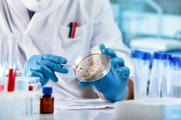 Lab technician examining mold and fungal cultures in petri dishes in the microbiology laboratory that adheres to ASTM E1733-95(2014)'s lighting specifications.