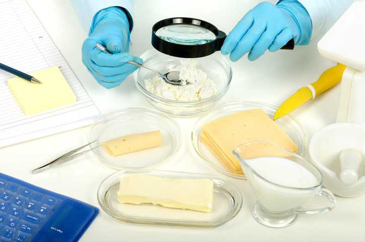 Expert hands inspecting cheese with a magnifying glass in phytocontrol laboratory performing fluorimetric food testing methods that adhere to ISO 11816-2:2024.