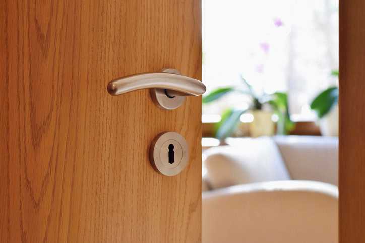 Wooden door with mortise lock opening into sunny apartment with plant.