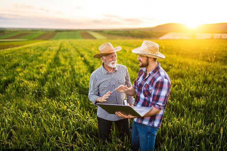 Two farmers standing in a wheat field practicing sustainable agriculture practices in IWA 29:2019.