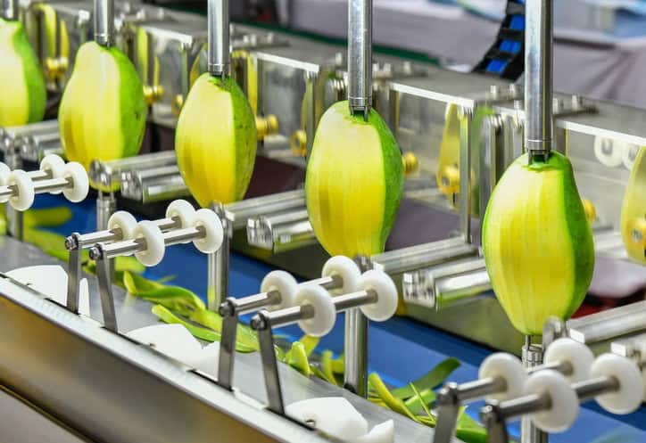 Mango peeler in factory with halfway peeled mangoes.