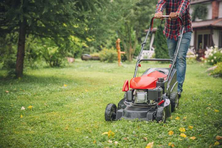 Man mower grass in his garden with a lawn mower that adheres to machine safety specifications in ANSI/OPEI 5395-1-2024.