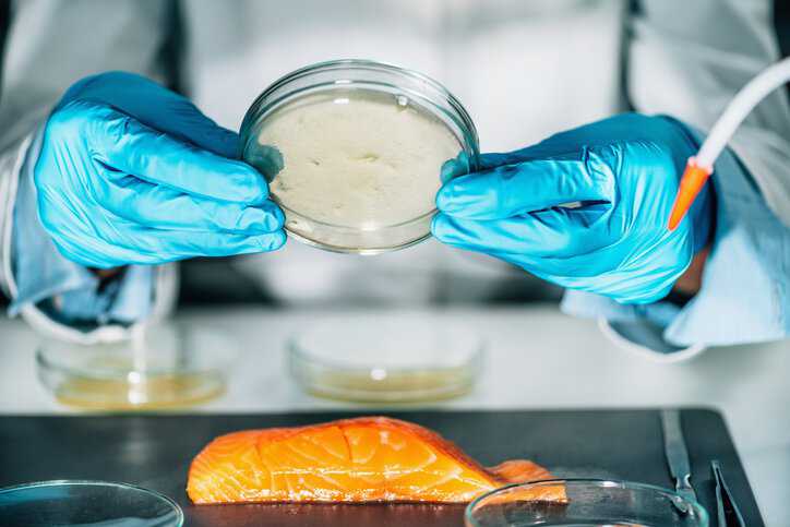 Microbiologist examining a petri dish with agar, searching for the presence of pathogenic bacteria, adhering to ISO 6887-3:2017.
