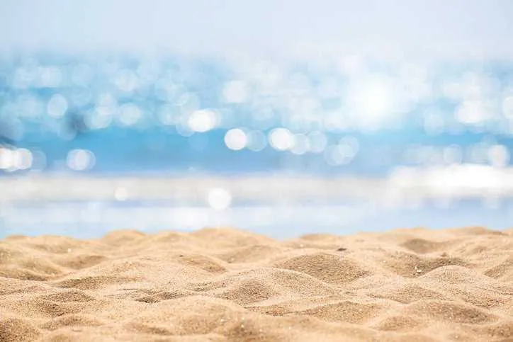 Estuary Beach sand dunes with ocean water in background