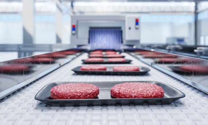 Burger patties sliding across NSF/ANSI/3A 14159-1-2024 meat processing equipment in a food plant.