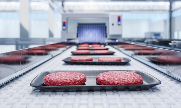 Burger patties sliding across NSF/ANSI/3A 14159-1-2024 meat processing equipment in a food plant.
