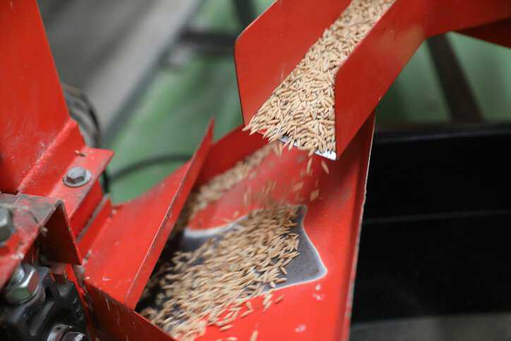 Factory machine milling rice (Oryza sativa) in accordance with ISO 6646 requirements.