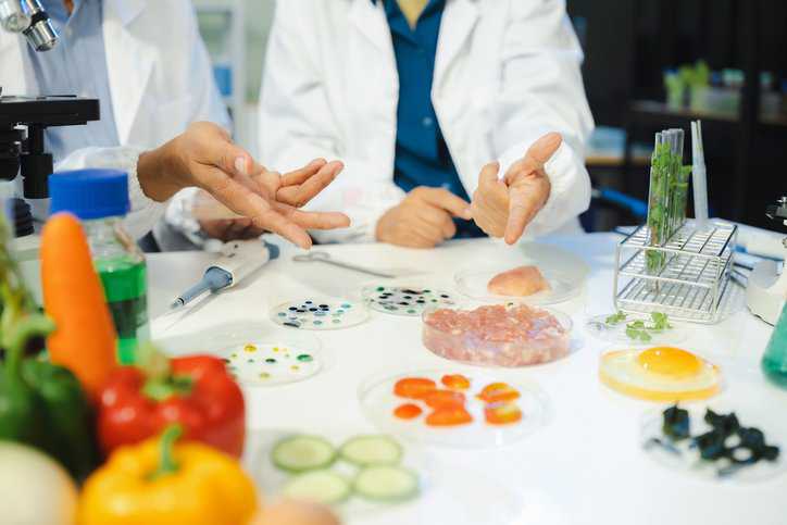 Microbiologist working on molecule samples in modern food science laboratory, assuring that food samples adhere to food safety standards.