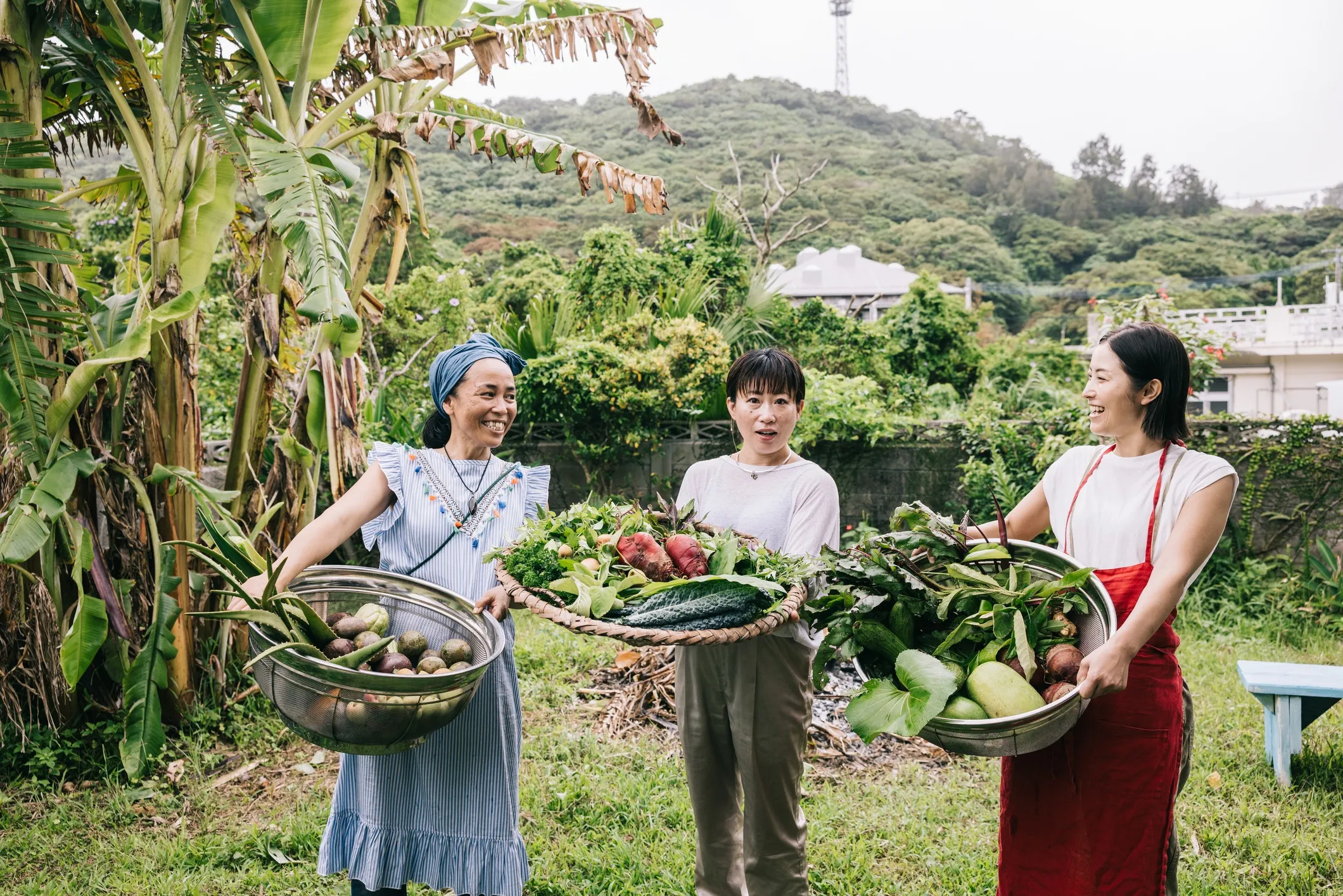Three Japanese women from Okinawa with a smile on their face, holding a basket overflowing with an array of colorful, just-picked vegetables from their flourishing garden.