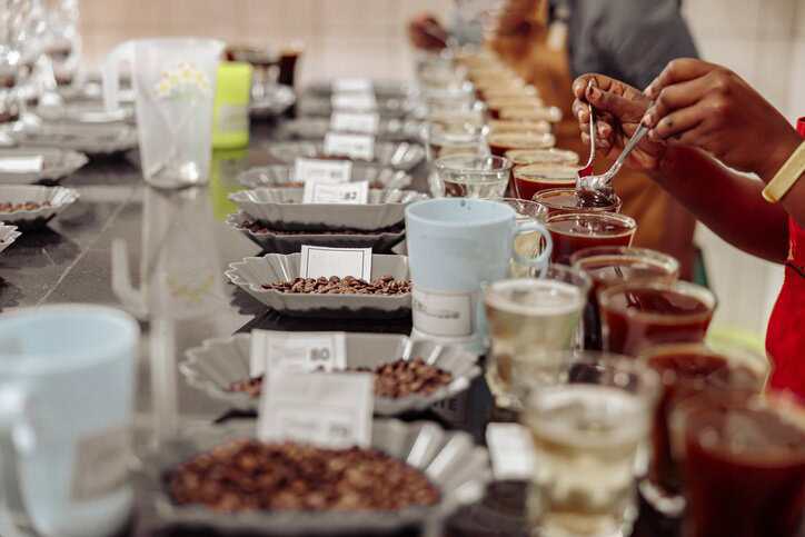 Sensory analysis evaluation of coffee that adheres to ISO 18794:2018 guidelines.