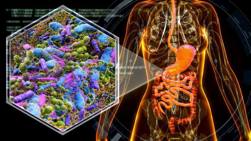 Graphic depiction of a human's intestinal gut microbiome full of many microorganisms.