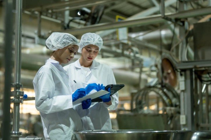 Food workers reviewing their certificates in food factory