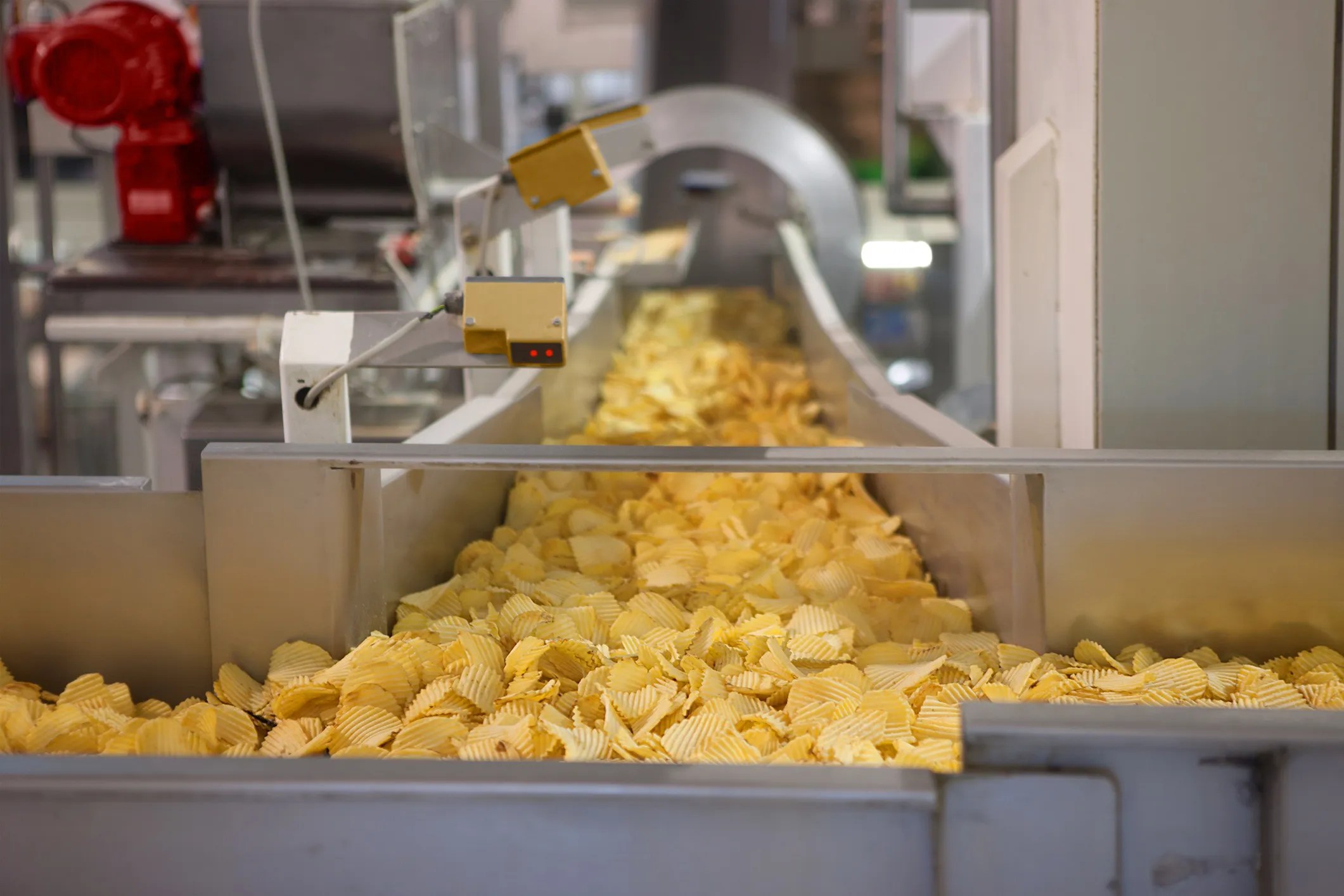 Hyper-palatable food (chips) being manufactured in a food processing factory,
