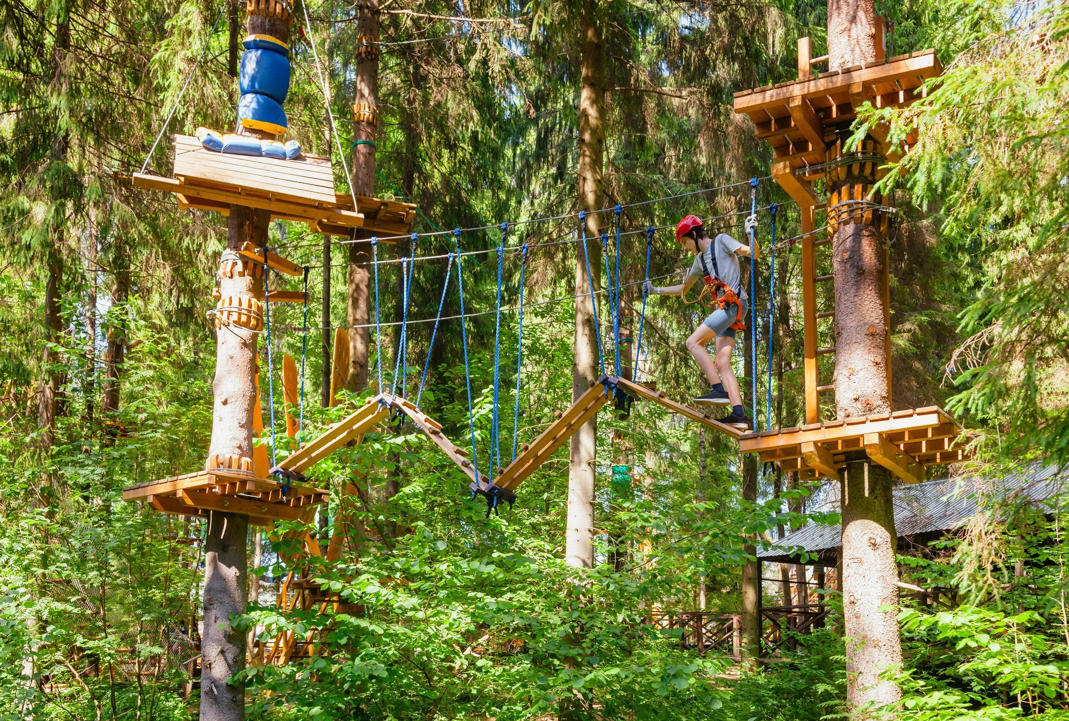 A teen boy doing a ropes challenge course, adhering to ANSI/PRCA 1.0-.3-2014, in a forest.