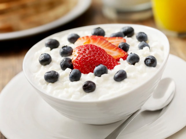 Bowl of cottage cheese with fresh berries representing dairy production safety, quality control, and food safety management in processed foods.