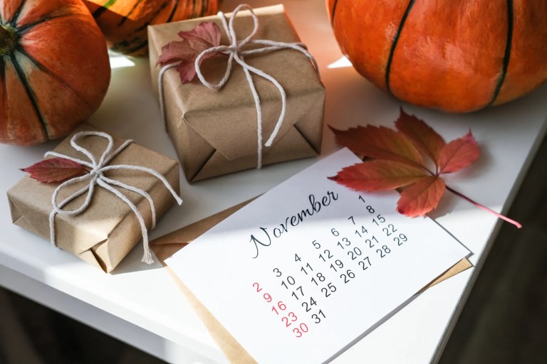 ISO 8601 date format diagram showing Thanksgiving dates in the U.S. and Canada, highlighting how movable holidays are represented with clear, standardized date formats.
