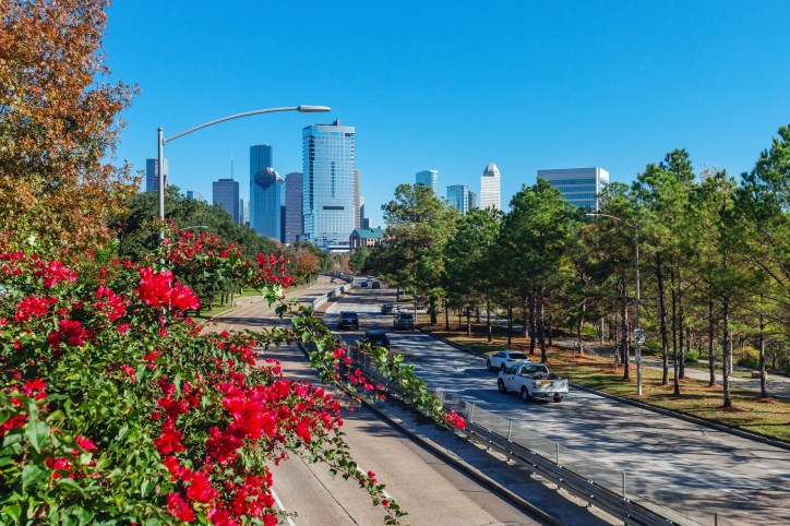 Houston skyline at end of highway with red flowers in foreground