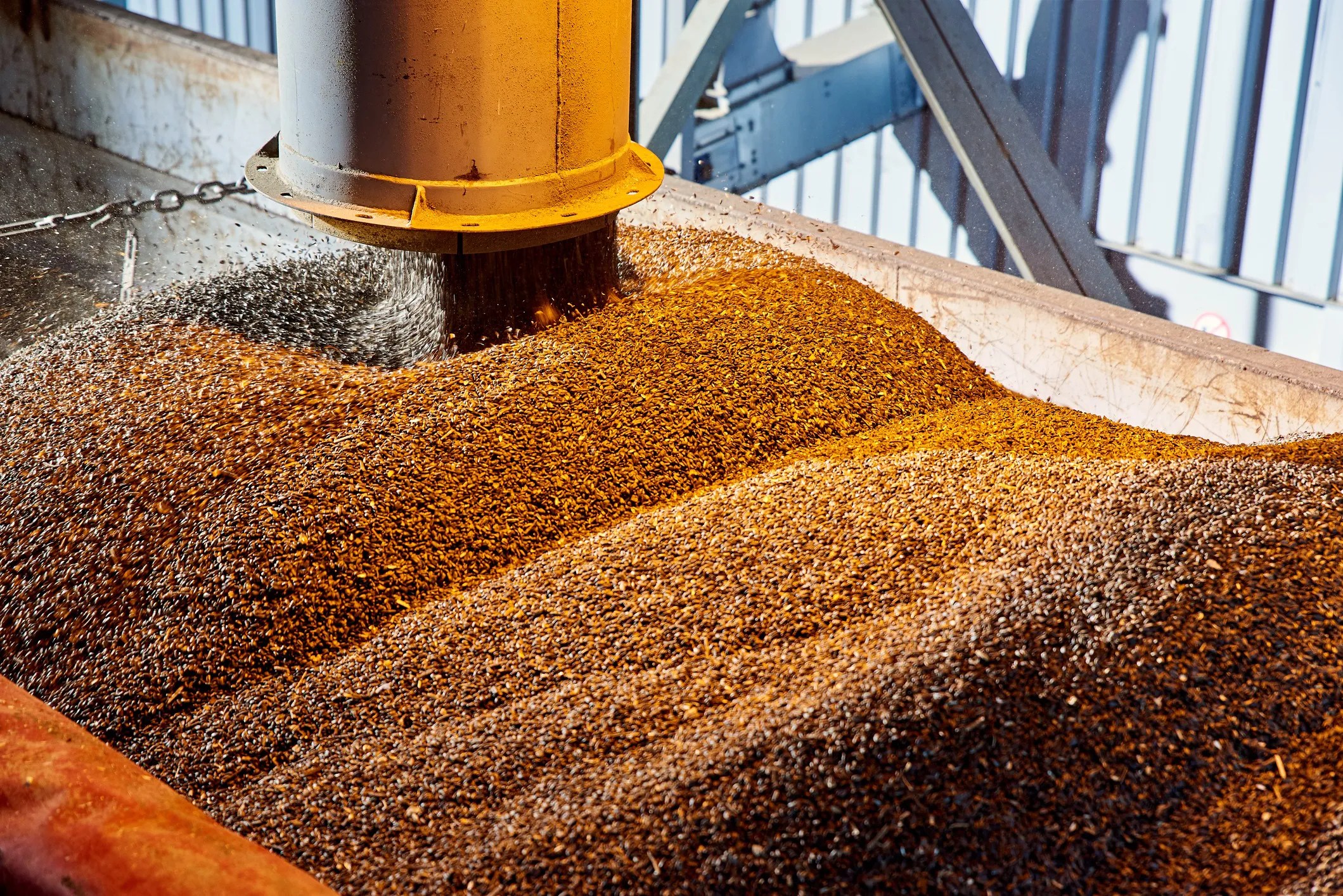 Chemical processing steps involved in extracting sunflower seed oil, including cleaning, pressing, refining, bleaching, and deodorizing.