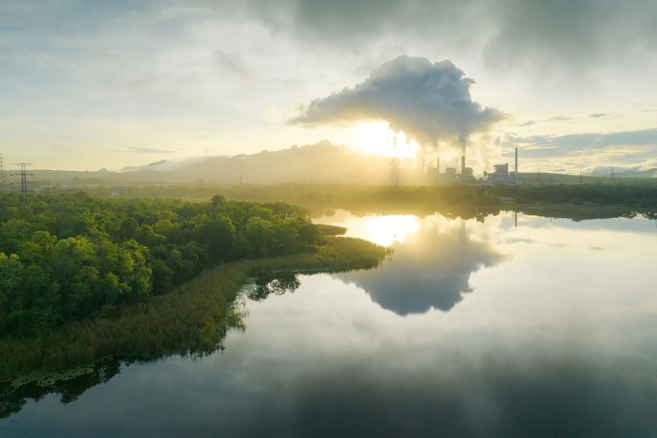 Industrial site near natural habitat highlighting environmental impact and biodiversity risk.