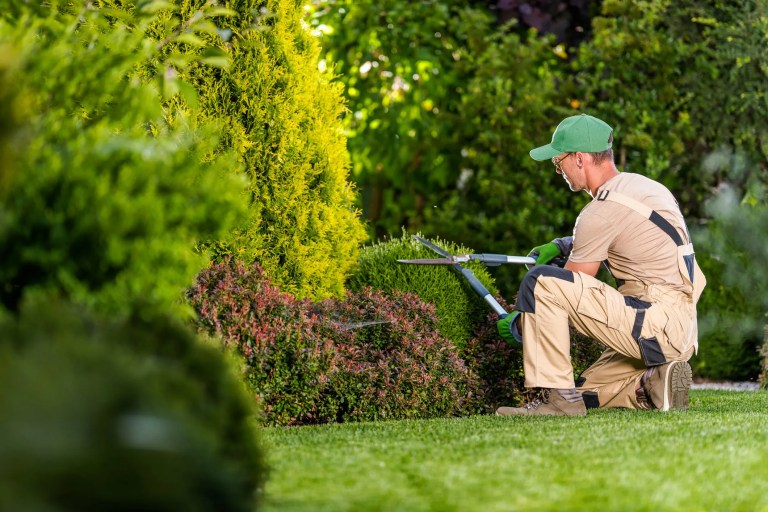 Gardener preparing soil with tools and compost in a spring garden, highlighting sustainable practices and safety standards.