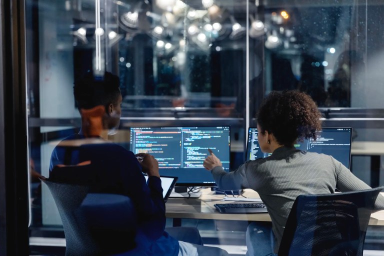 Software development team managing software life cycle processes using ISO/IEC/IEEE 12207:2026 standards.