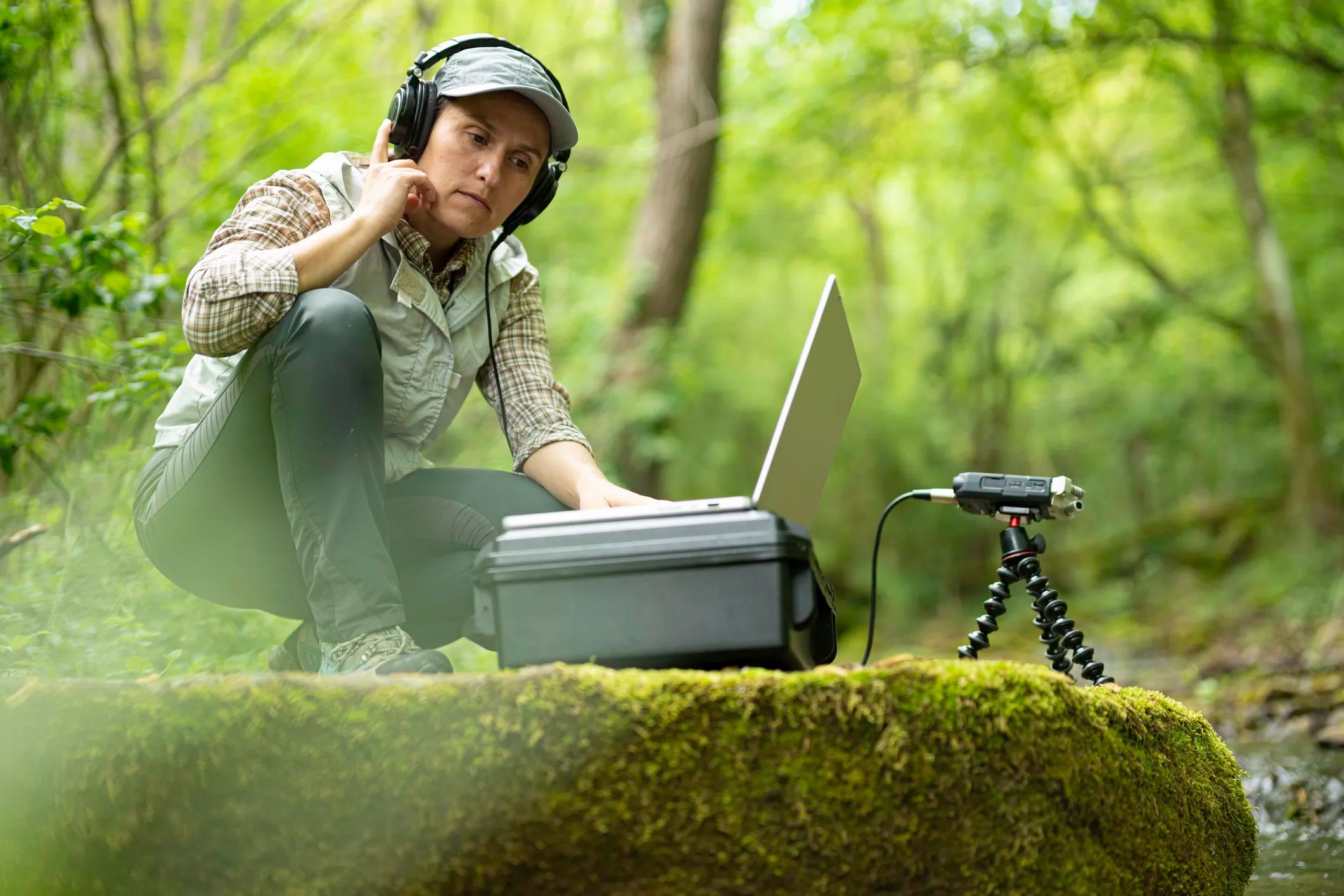 Researcher analyzing auditory waveforms and hearing data on a computer to study human hearing and bioacoustics with consistent terminology that adheres to ASA/ANSI S3.20-2015 (R2025).