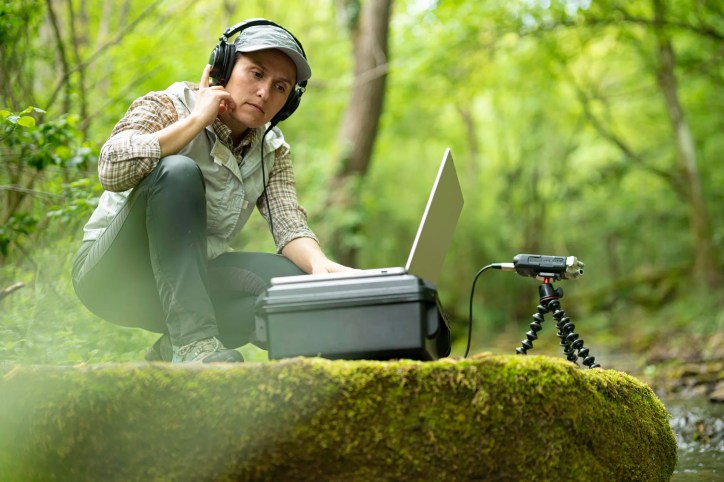 Researcher analyzing auditory waveforms and hearing data on a computer to study human hearing and bioacoustics with consistent terminology that adheres to ASA/ANSI S3.20-2015 (R2025).